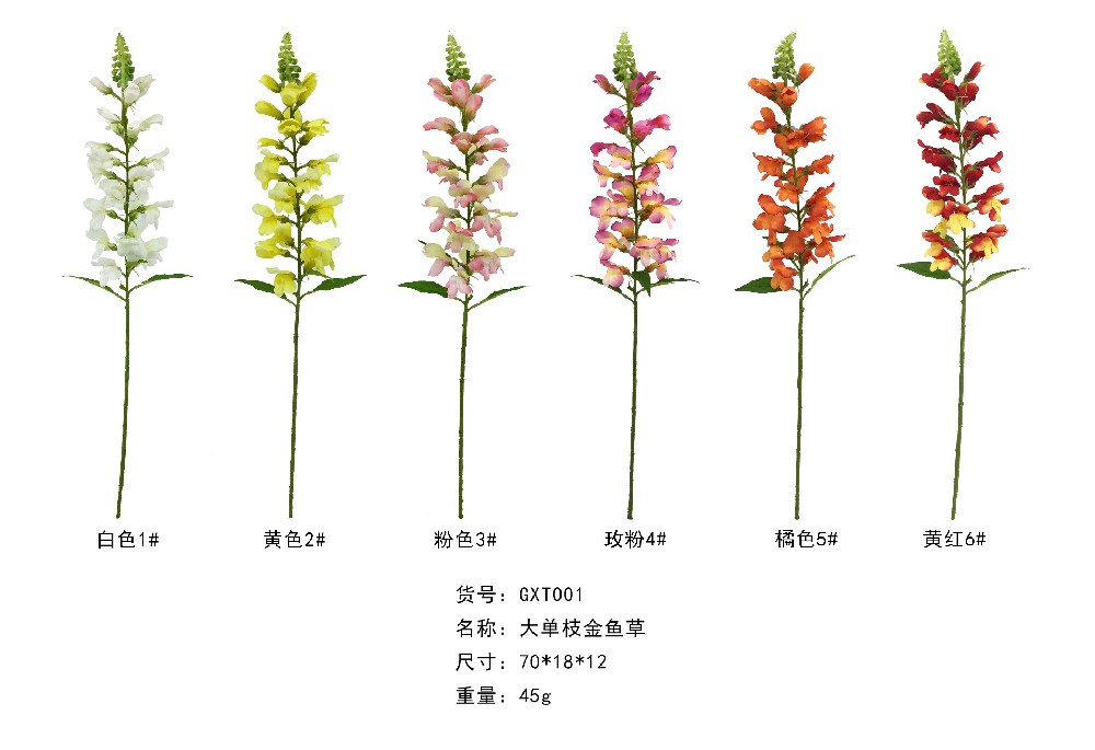 Big Single Stem Snapdragon  XTD001