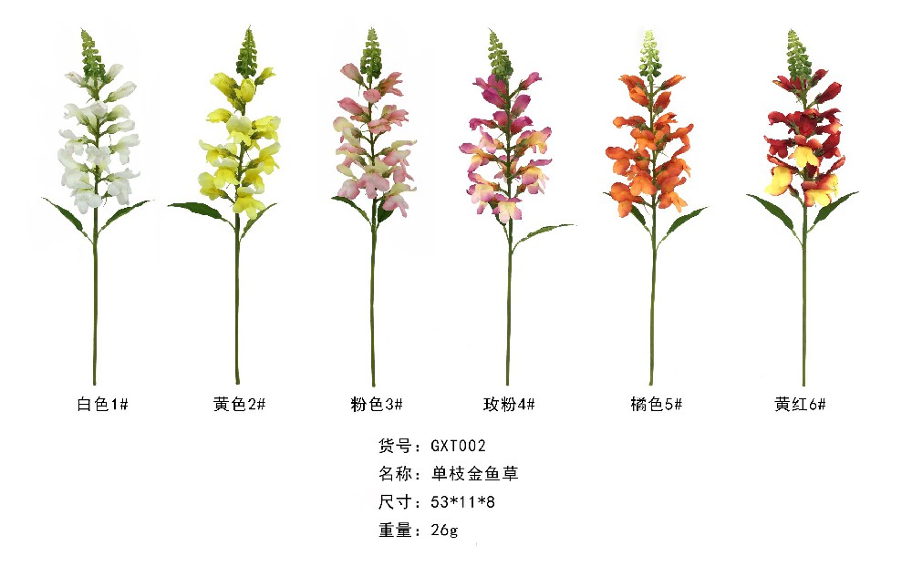 Single Stem Snapdragon  XTD002