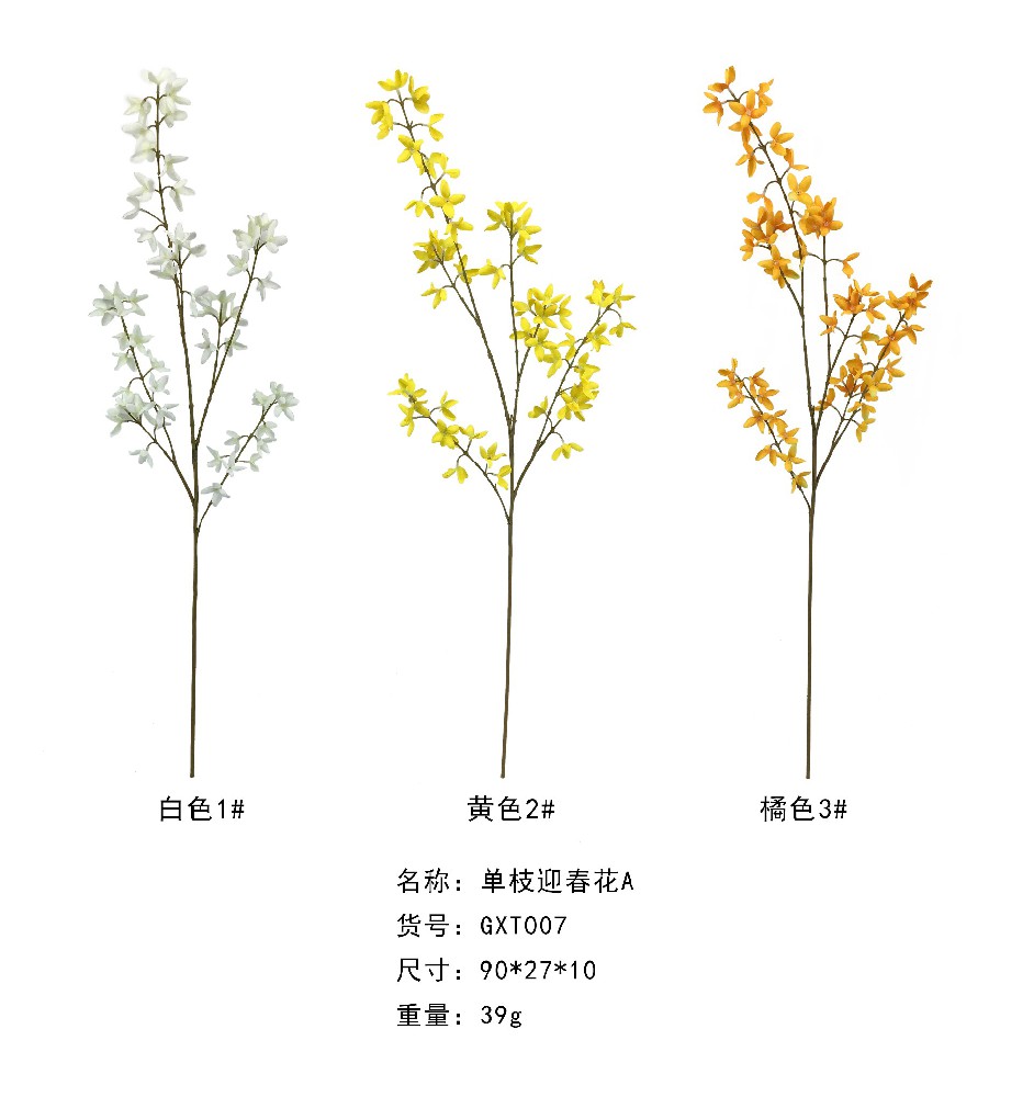 单支迎春花A  GXT007