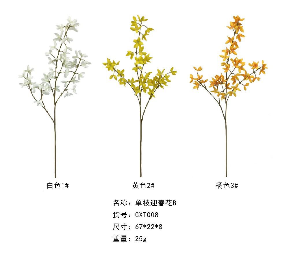 单支迎春花B  GXT008