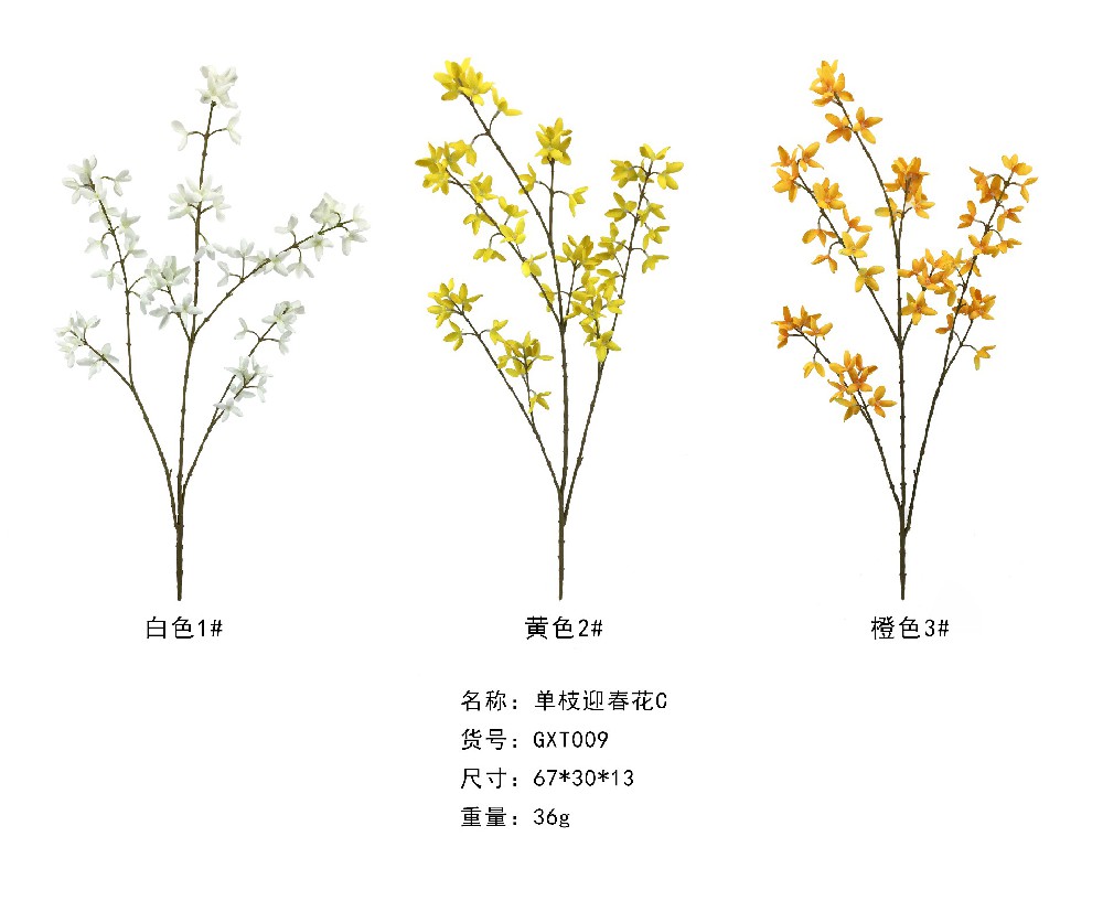 单支迎春花C  GXT009