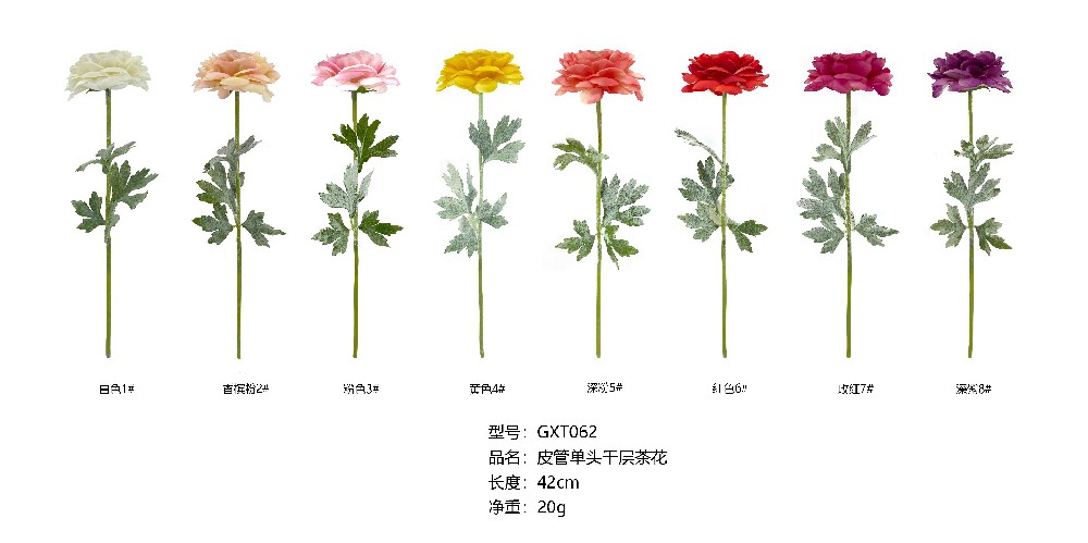 皮管单头千层茶花   GXT062