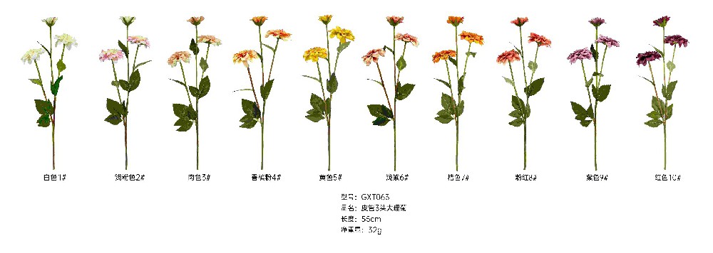 皮管3头大理菊   GXT063