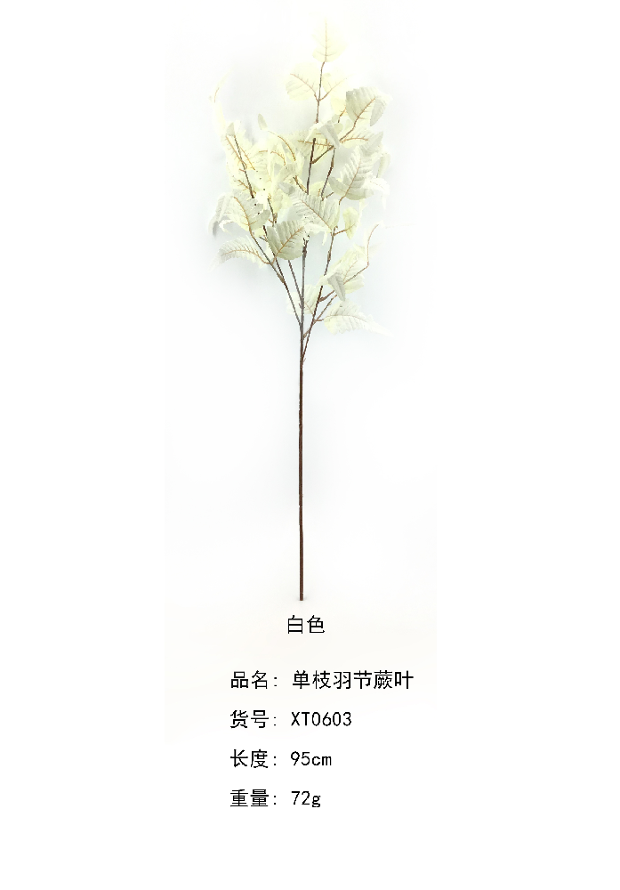 Penniform Frond    XT0603