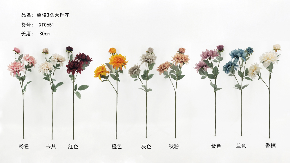 3 Heads Dahlia Oriental   XT0651