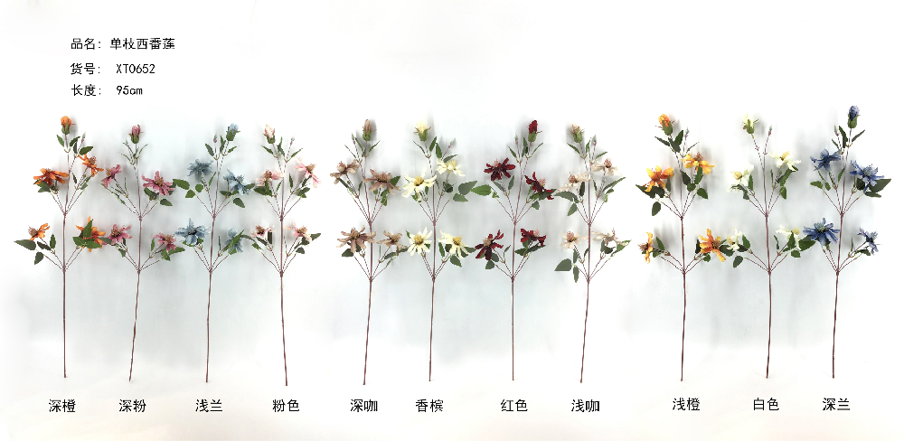 Passion  Flower XT0652