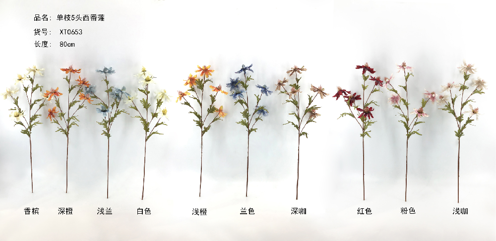 5 Heads Passion  Flower XT0653