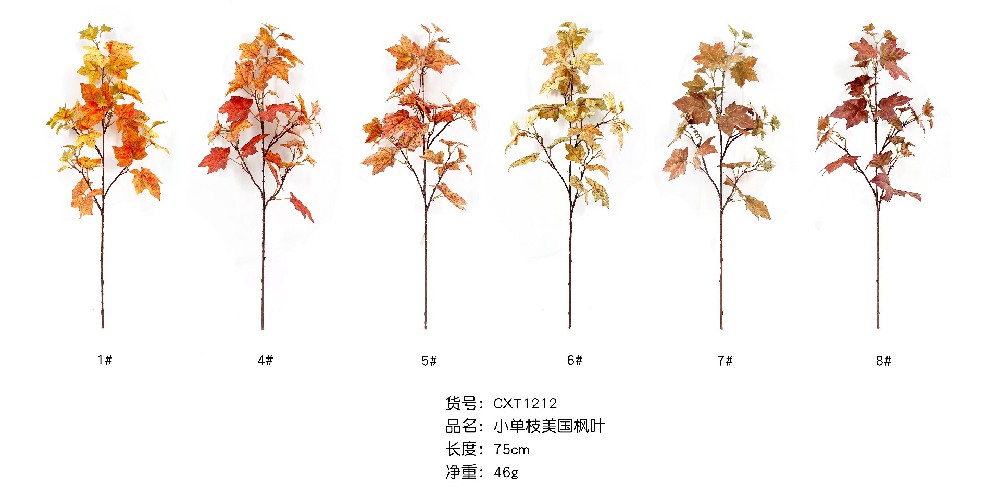 小单支美国枫叶