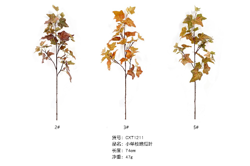 小单支地瓜叶