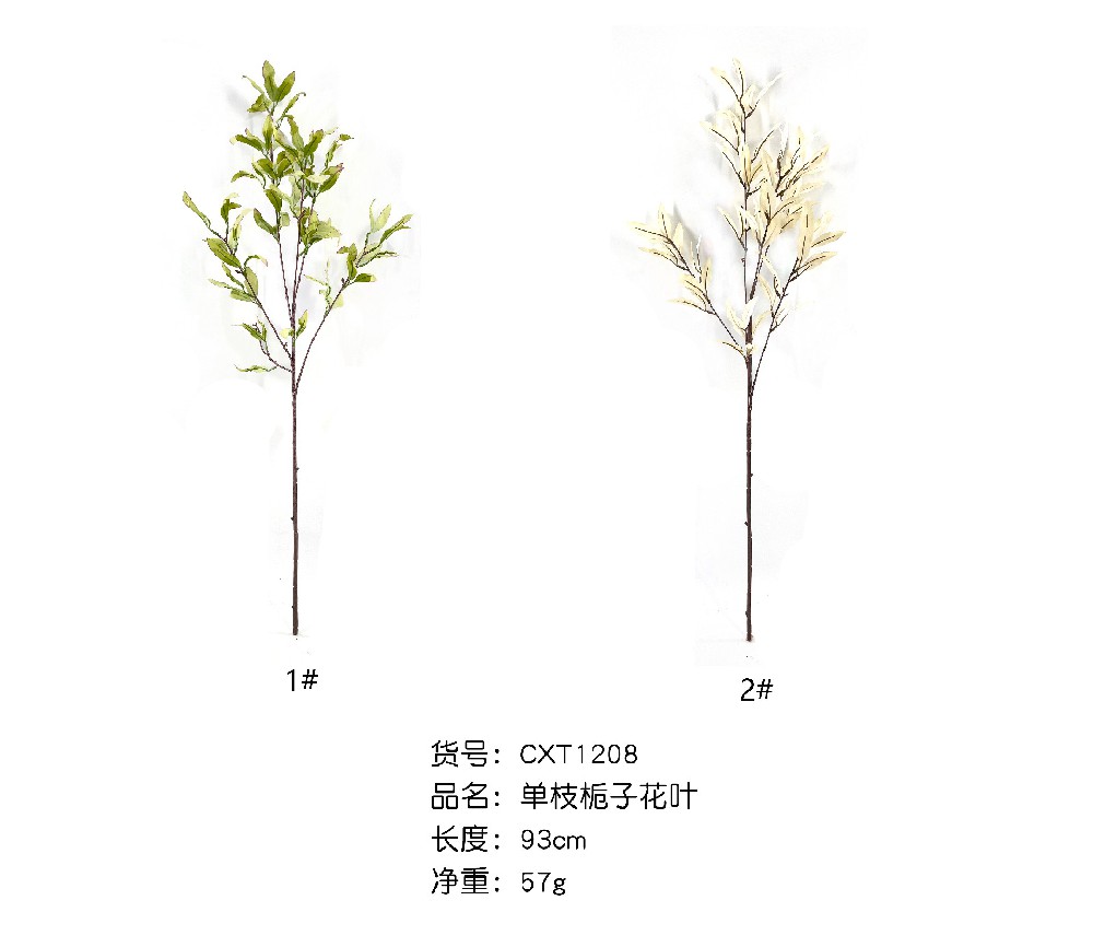 单支栀子花叶