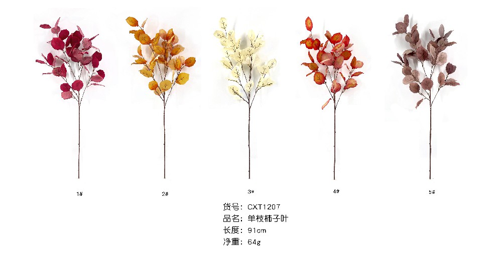 单支柿子叶