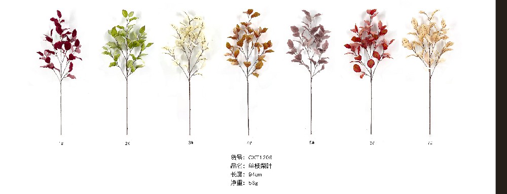 单支梨叶