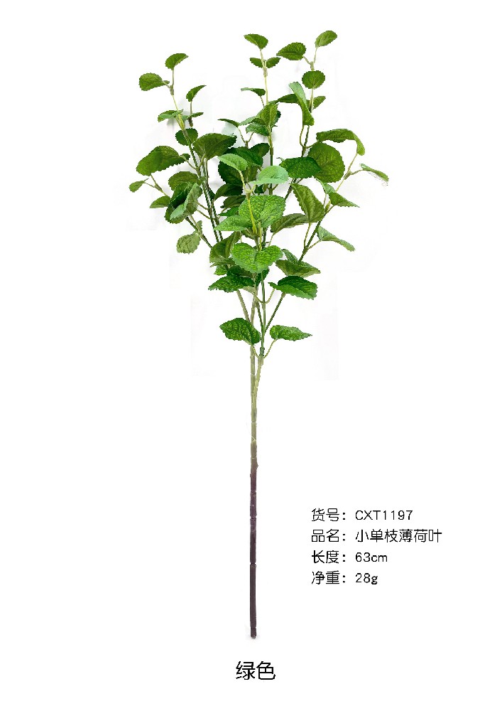 小单支薄荷叶