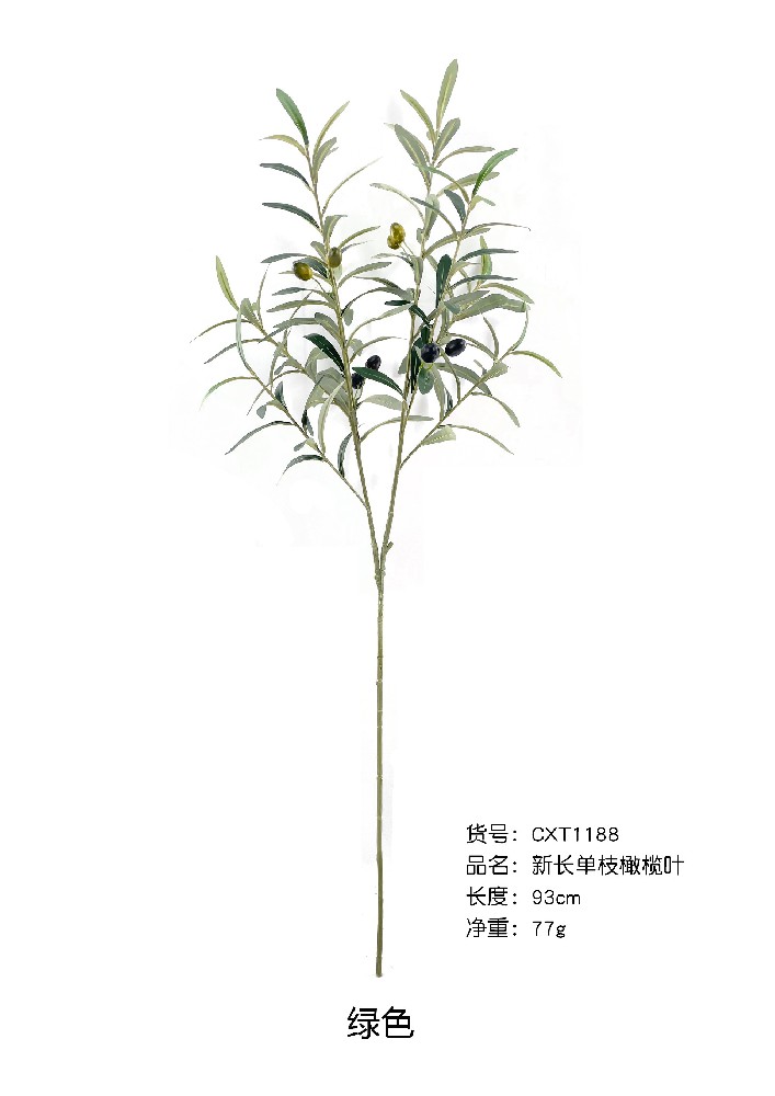 新长单支橄榄叶