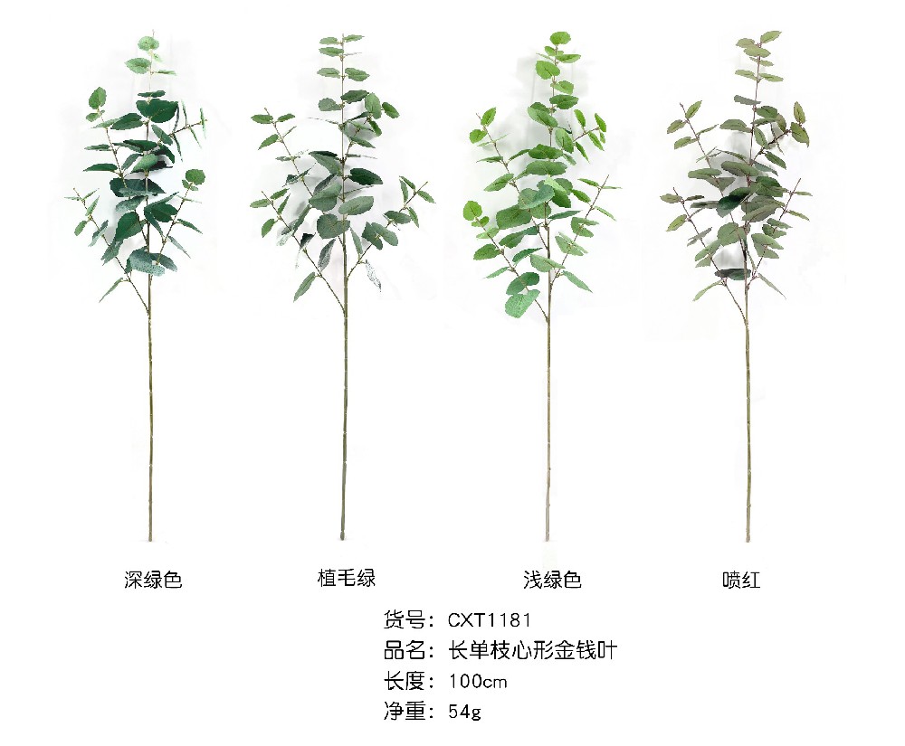 长单支心形金钱叶