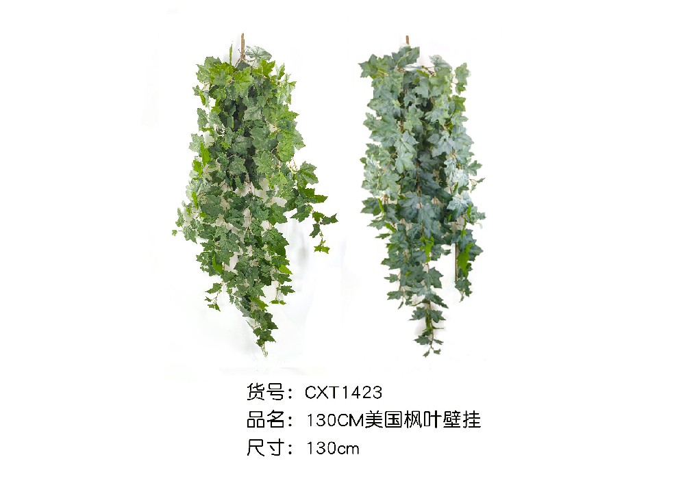 130CM美国枫叶壁挂