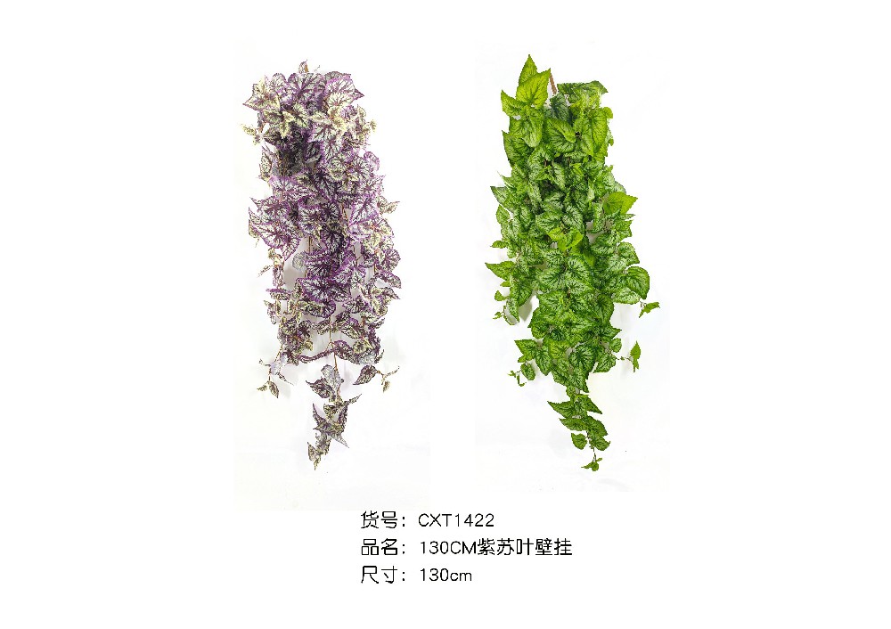 130CM紫苏叶壁挂