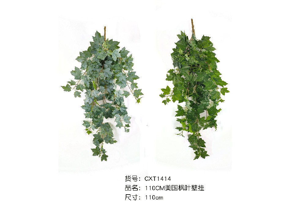 110CM美国枫叶壁挂